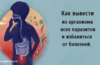 Как вывести из организма всех паразитов, как избавится от болезней, льняное семя, гвоздика,