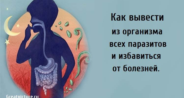 Как вывести из организма всех паразитов, как избавится от болезней, льняное семя, гвоздика,