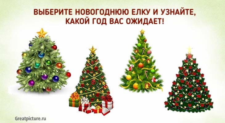 Выберите новогоднюю елку