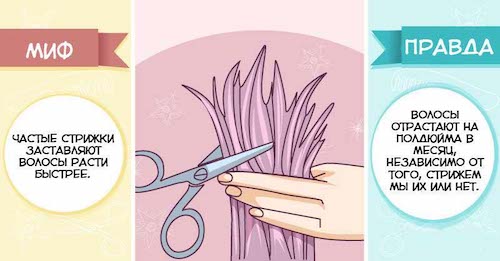 10 популярных мифов об уходе за волосами1