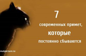 7 современных примет которые постоянно сбываются, приметы, какие приметы сбываются,