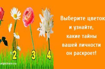 какие тайны вашей личности он раскроет, тест личности, личностный тест, тест картинка,