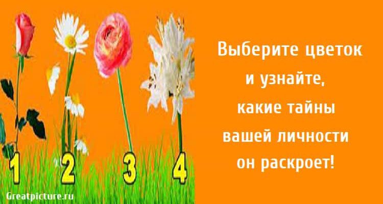 какие тайны вашей личности он раскроет, тест личности, личностный тест, тест картинка,