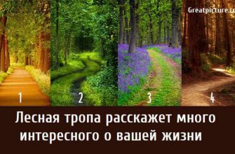 много интересного о вашей жизни, тест картинка, психологические тесты, тест характеристика,