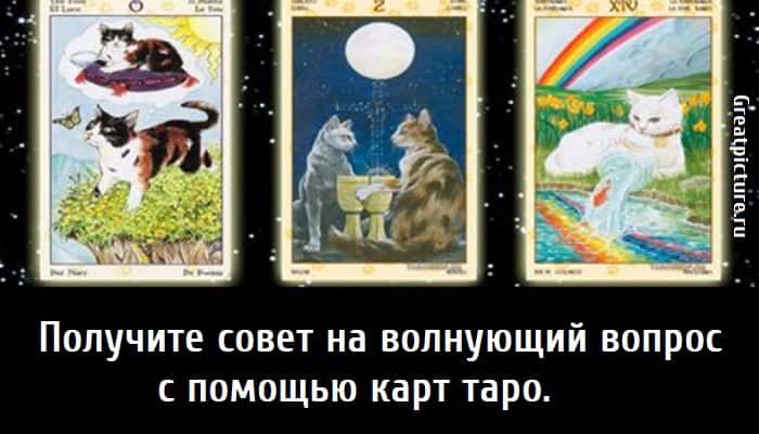 Получите совет, тест картинка, тест совет, карты таро,