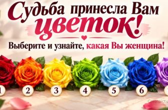 Судьба принесла Вам цветок