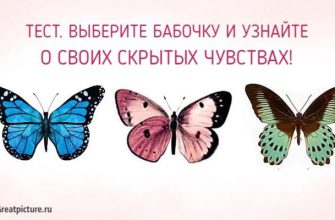 Выберите бабочку и узнайте