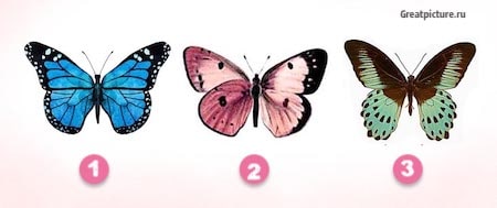  Выберите бабочку и узнайте1