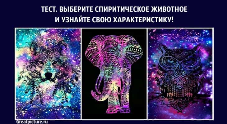 Выберите спиритическое животное