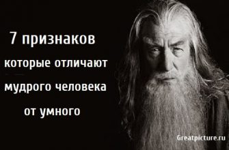 отличают мудрого человека от умного, мудрый человек, как отличить мудрого человека,