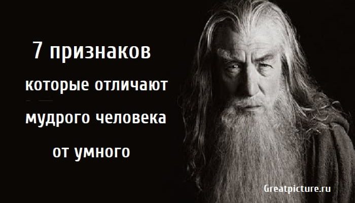 отличают мудрого человека от умного, мудрый человек, как отличить мудрого человека,