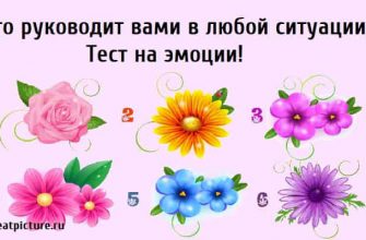 Что руководит вами в любой ситуации, Тест на эмоции, психологические тесты,