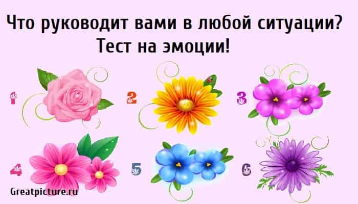 Что руководит вами в любой ситуации, Тест на эмоции, психологические тесты,