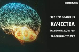 у вас высокий интеллект