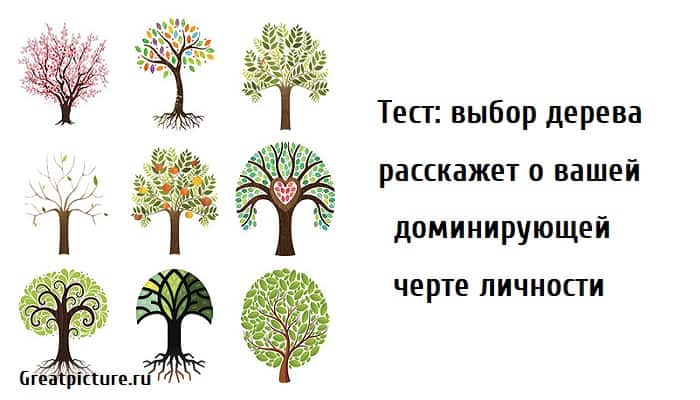 о вашей доминирующей черте личности, тест картинка, тест личности, тест характеристика,