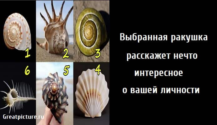 нечто интересное о вашей личности, тест картинка, тест характеристика, тест личности,